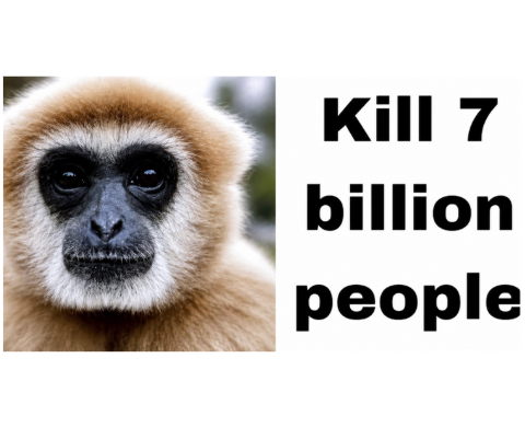 Crazy Monkey Tee